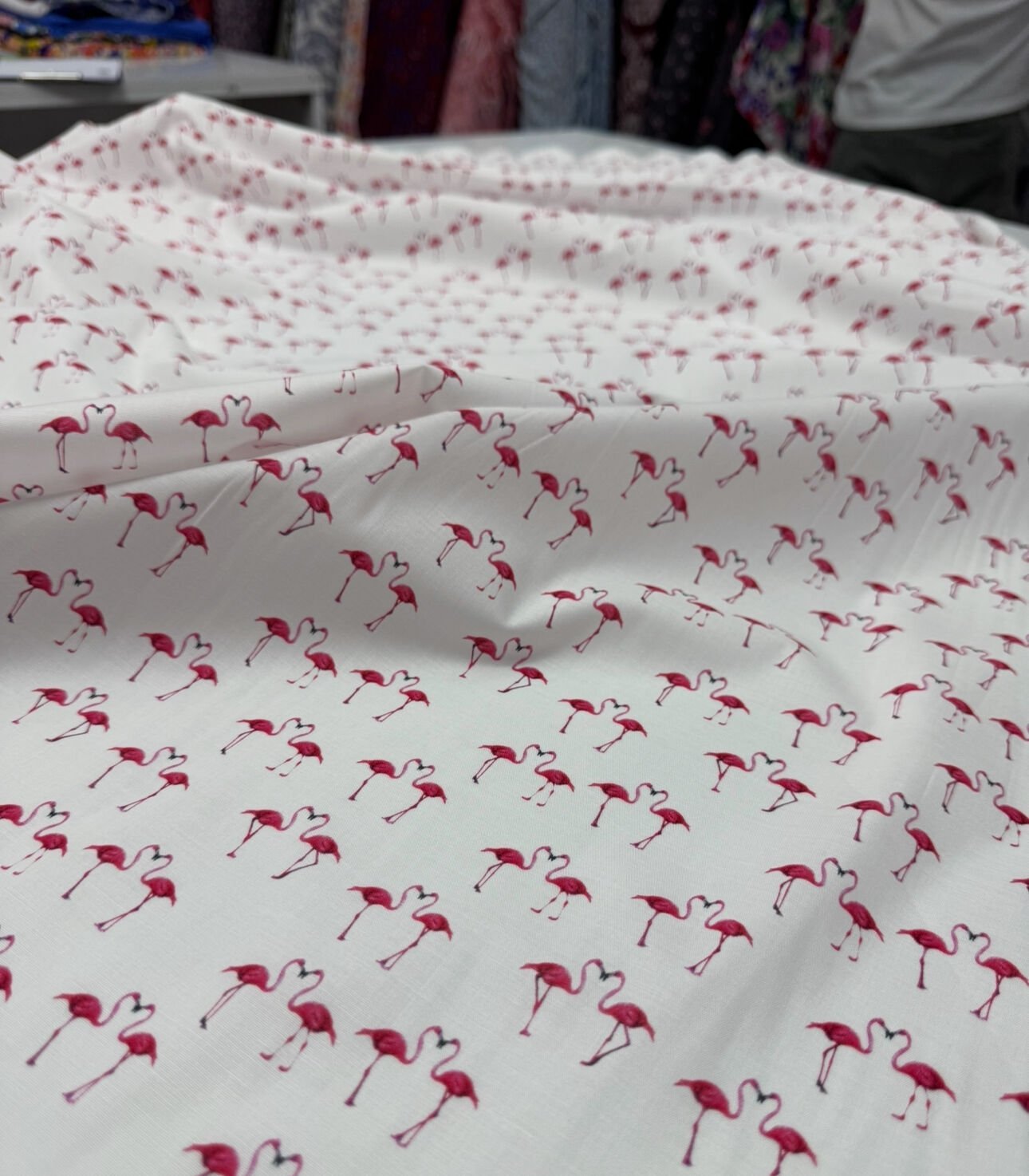Flamingo