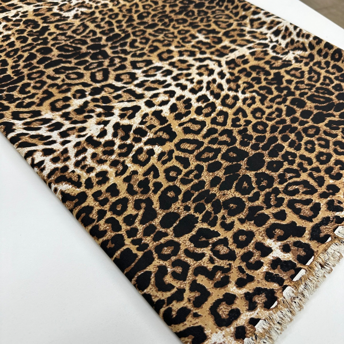 Terikoton Leopar