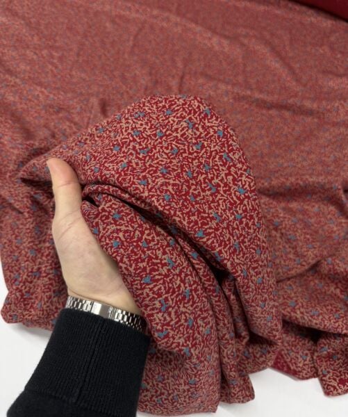 Minia Belmando Viskon