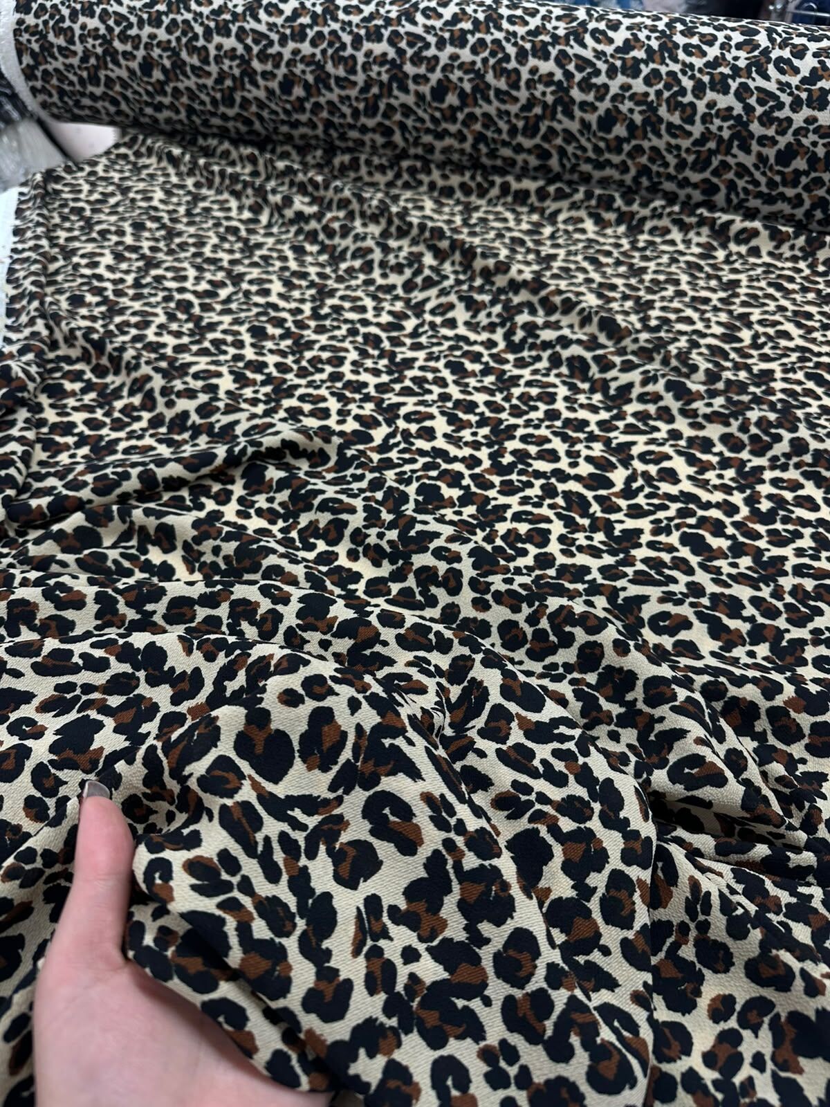 Kobe Leopar